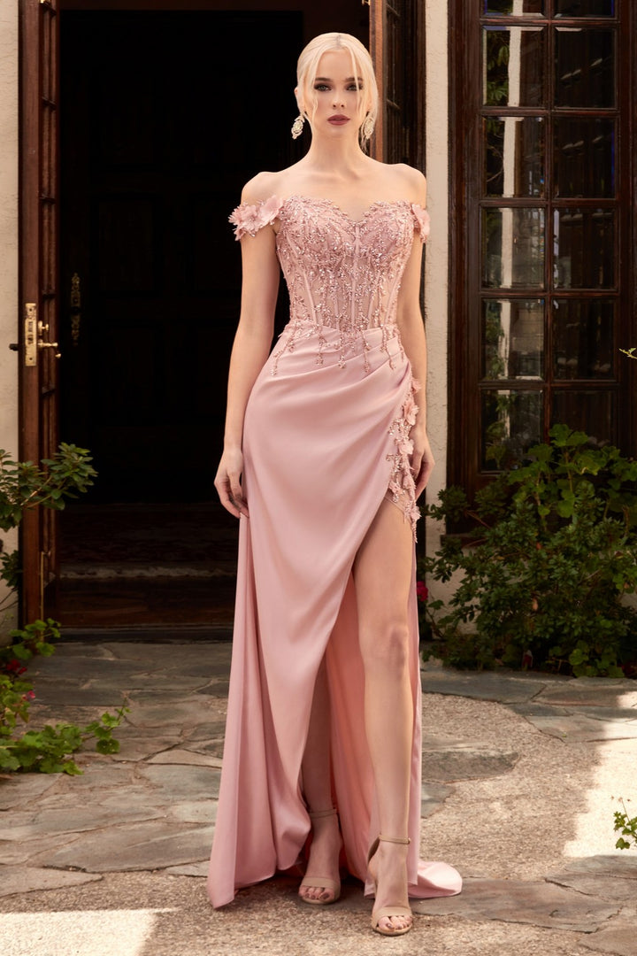 Charlotte Gown